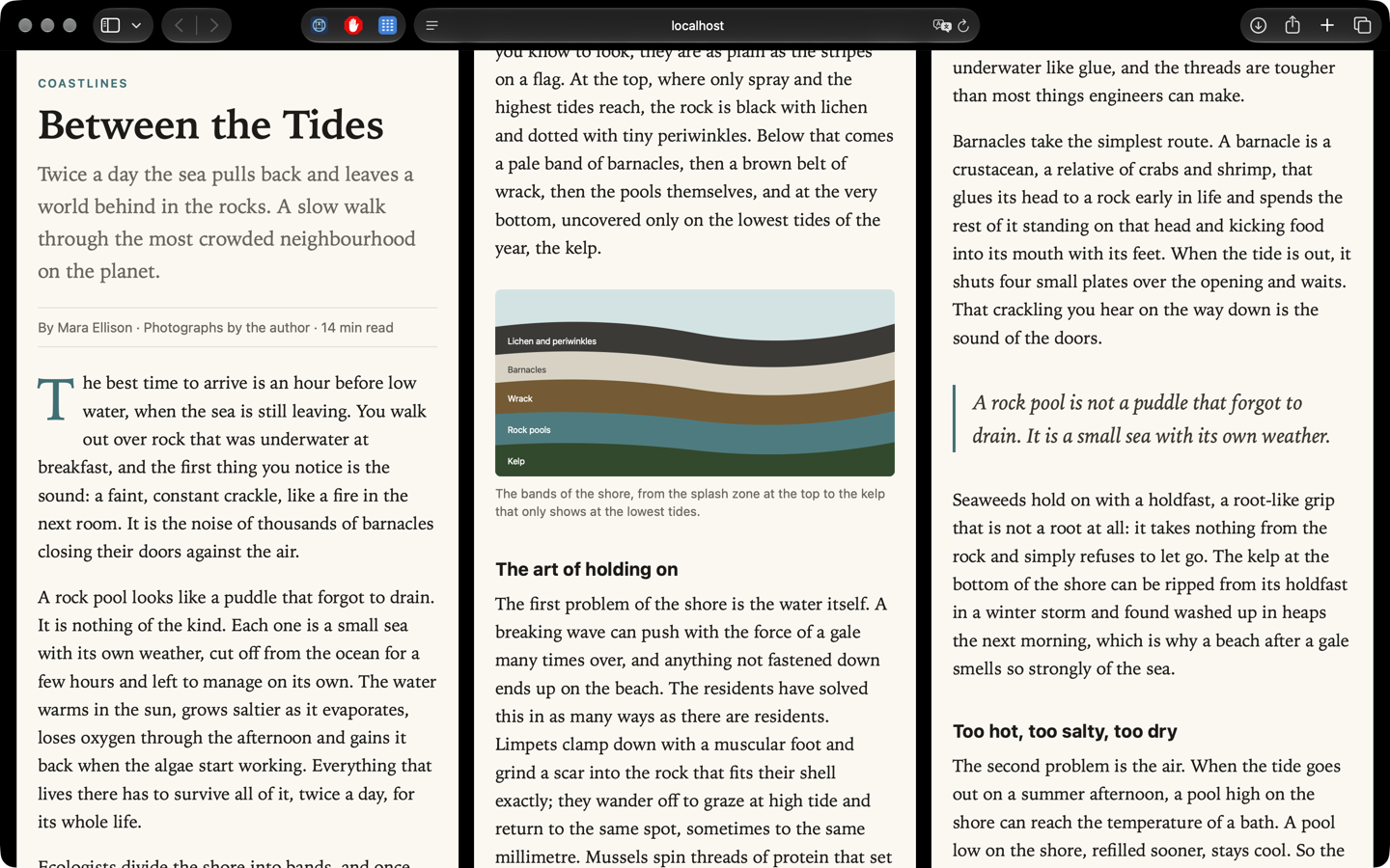 A long article in four side-by-side columns, each continuing the one before